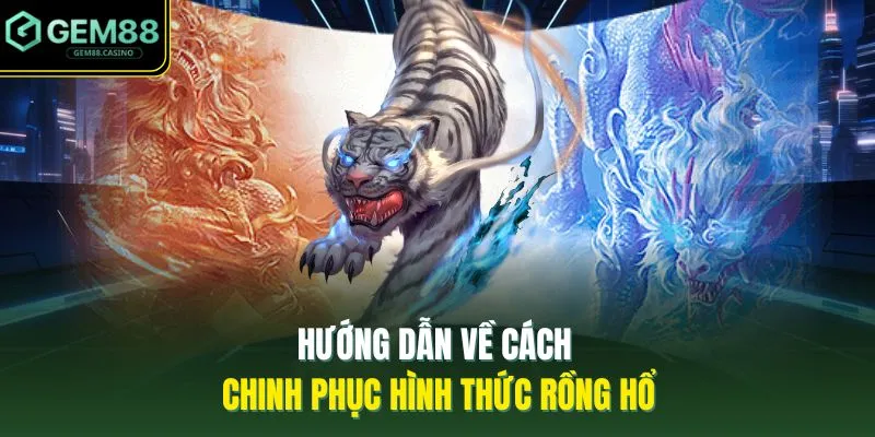 Hướng dẫn về cách chinh phục hình thức rồng hổ 
