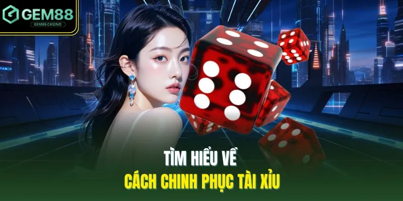 Tìm hiểu về cách chinh phục tài xỉu 